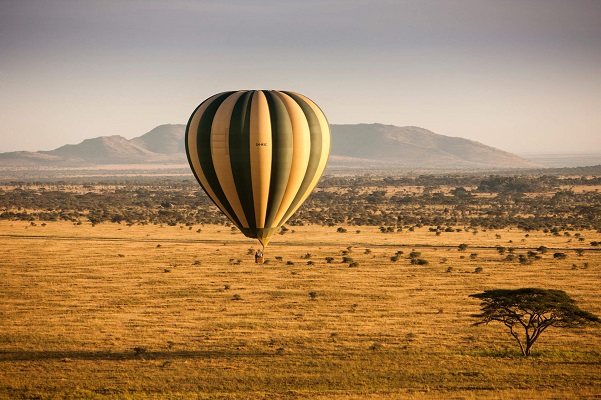 Tanzania wildlife safari