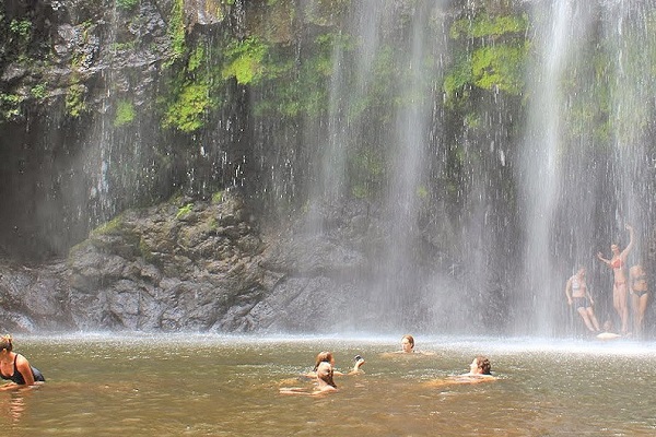 Tanzania wildlife safari