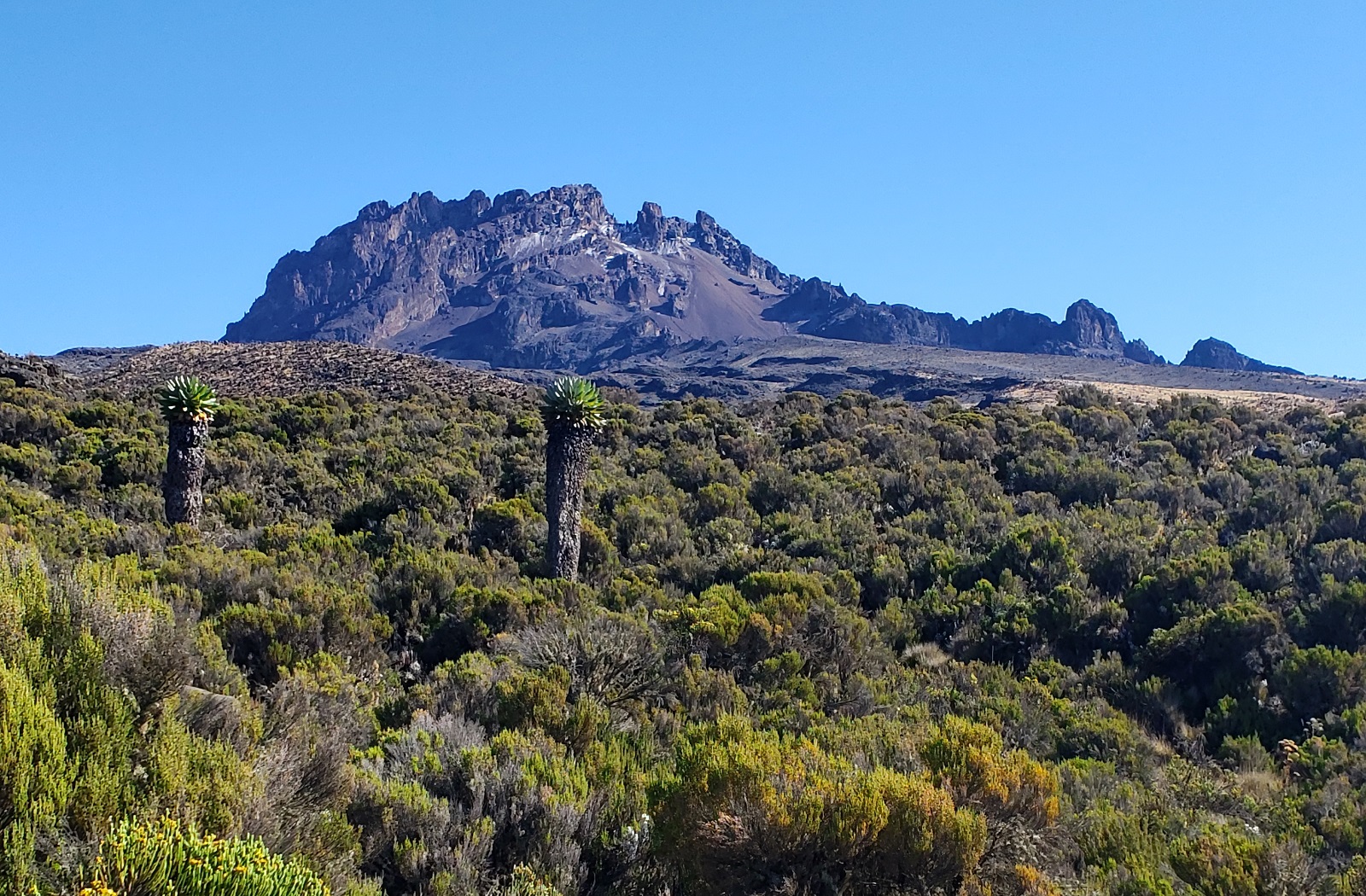 kilimanjaro umbwe route